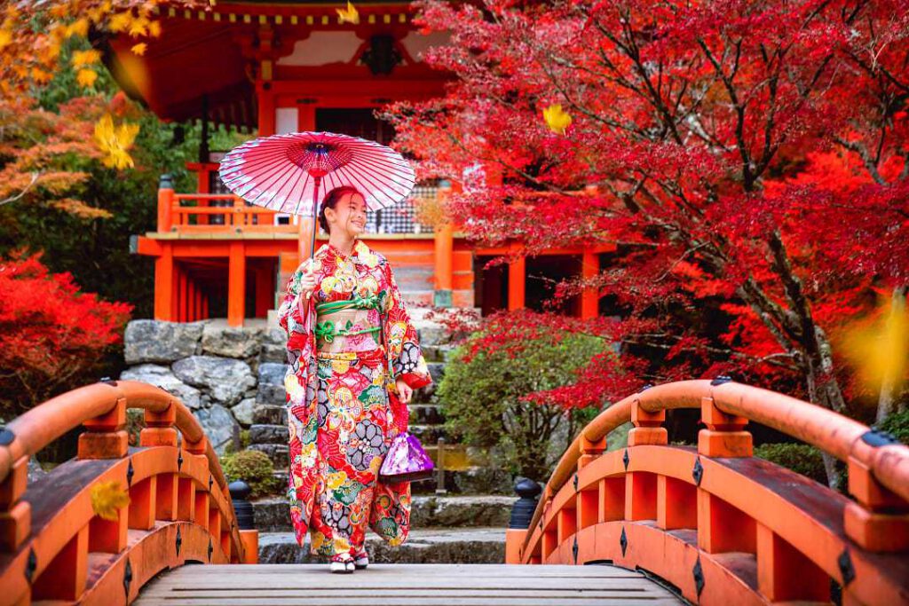 ultiimate guide - live-japan-life